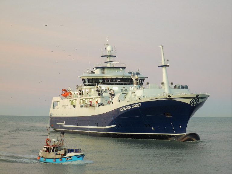 Dyrevernorganisasjon med støtte til slaktebåt: – Svært enkelt å se at en slik båt har et stort potensiale til å bedre fiskevelferden
