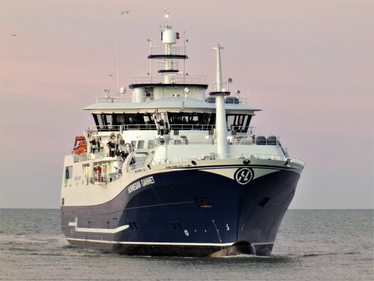 Høy dødelighet for Arnarlax – &laquo;Norwegian Gannet&raquo; på vei til Island for å hjelpe med utslakting