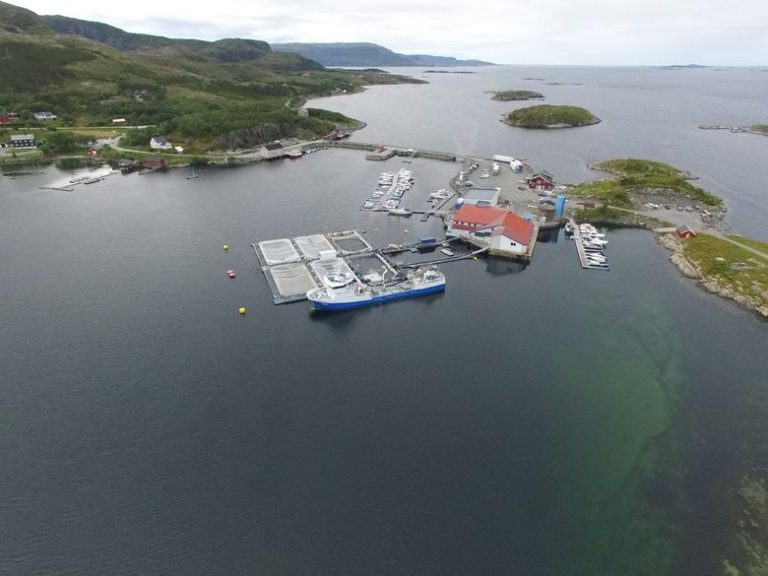 Kråkøy Slakteri trues av nedleggelse. Slik ruster bedriften seg for fremtiden