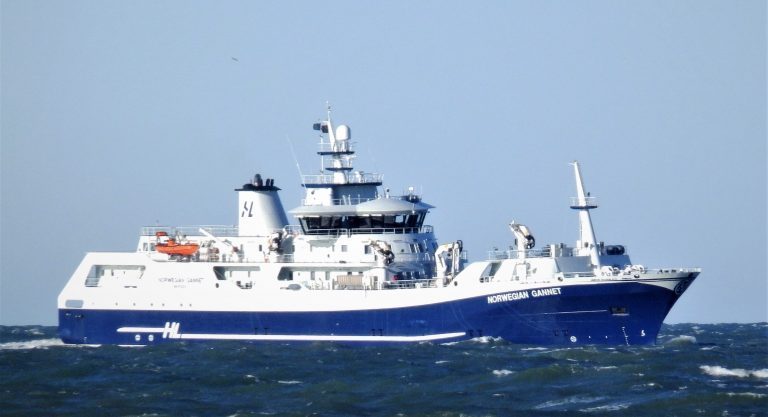 &laquo;Norwegian Gannet&raquo; hjelper Mowi med utslakting av ILA-fisk