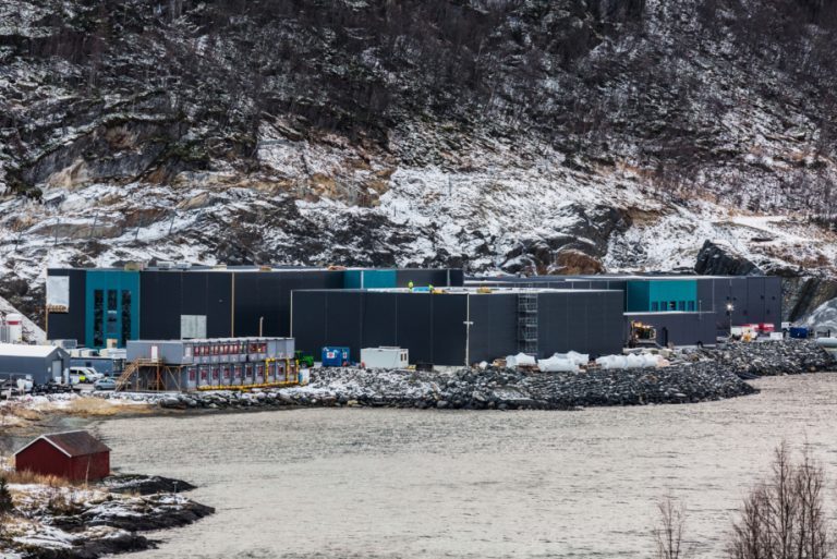 Kvarøy Fiskeoppdrett skal produsere stamfisk for SalmoBreed Salten