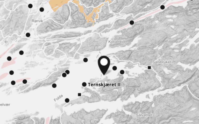 ILA bekreftet hos SalmoNor