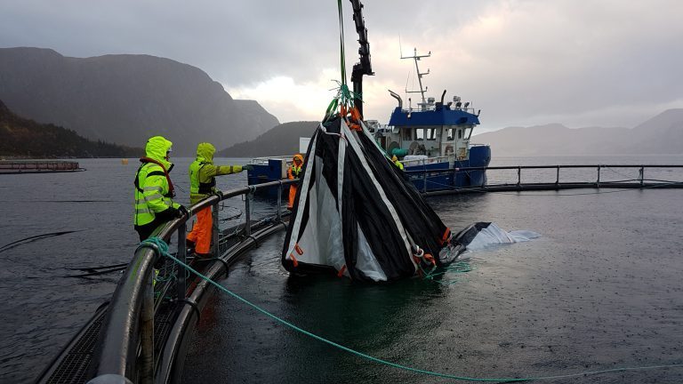 Selstad landet storkontrakt: Skal levere over 30 luseskjørt til Eidsfjord Sjøfarm