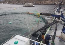 – Vi har gode og spennende prosesser