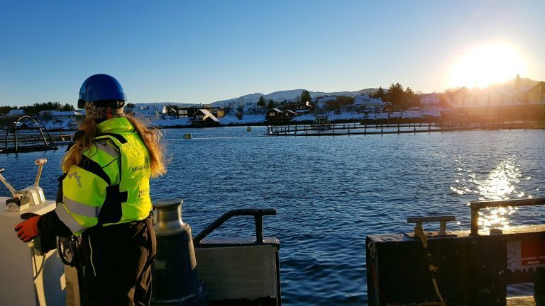 Havbruksakademiet har fått undervisningstillatelse til oppdrett