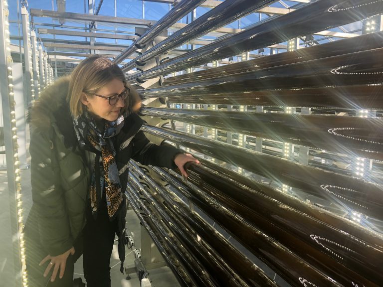 – Vi vil koble flere verdikjeder sammen