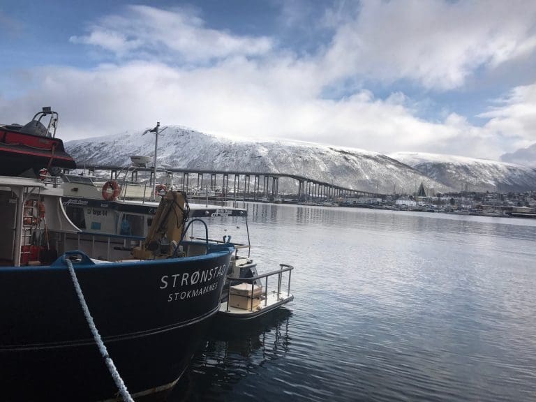 Lakseeventyret på land