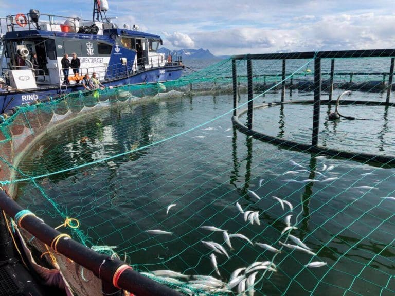 Åpent brev til fiskeriministeren