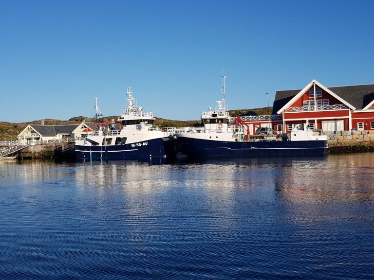 Averøyrederi mistenkt for å ha fraktet rensefisk ulovlig