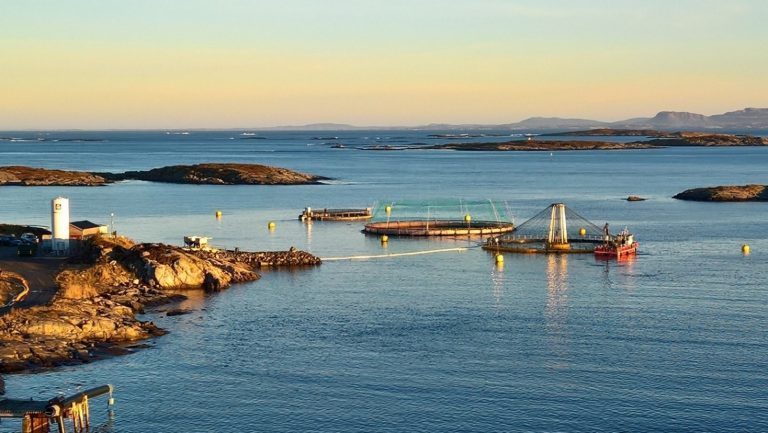 Smølabedrift fikk nei fra regjeringen