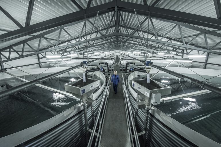 Profit warning fra AKVA group