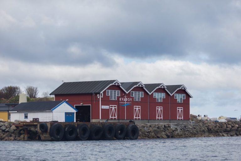 Kvarøy Fiskeoppdrett tjente 118,6 millioner kroner i 2018: – Et meget godt resultat