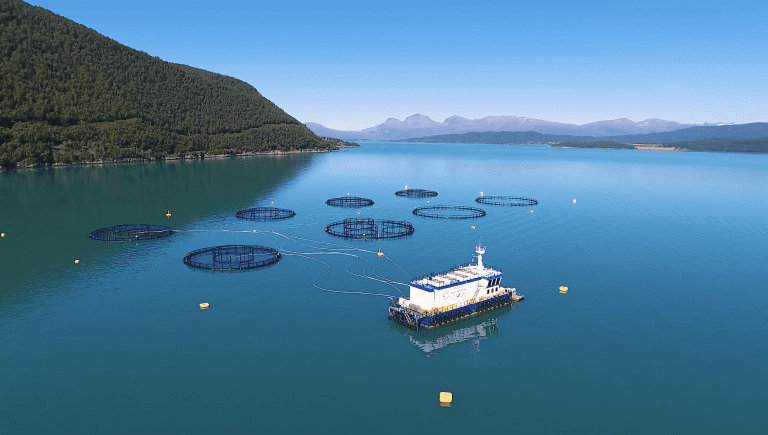 Resultatet falt i Edelfarm, men driftsmarginen endte på 32,7 prosent