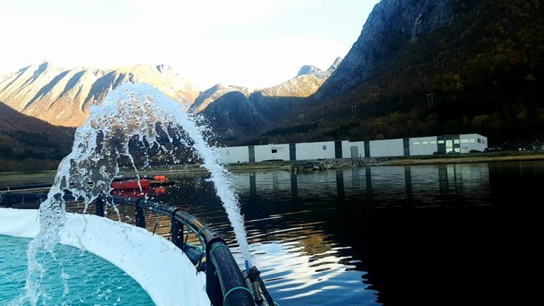 Helgeland Smolts anlegg kostet 340 mill. da det åpnet for to år siden. Nå planlegges et nytt: – Blir en god del dyrere