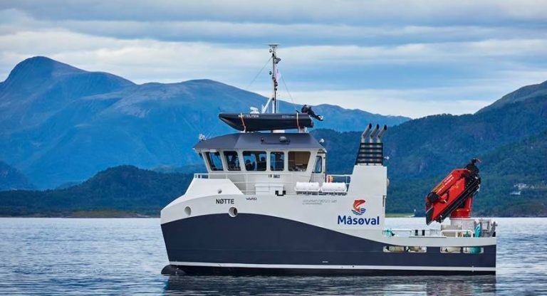 Måsøval økte driftsresultatet med over 150 prosent, men det kunne vært enda bedre