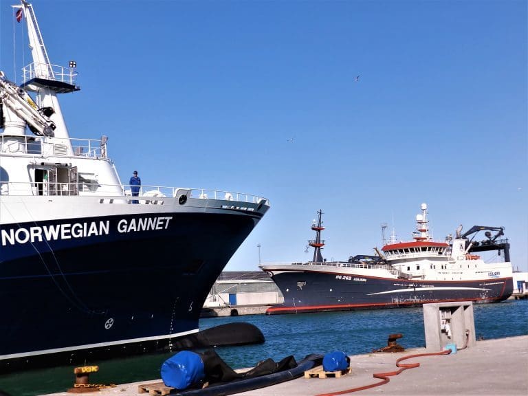 Tidenes beste første halvår for norsk sjømateksport