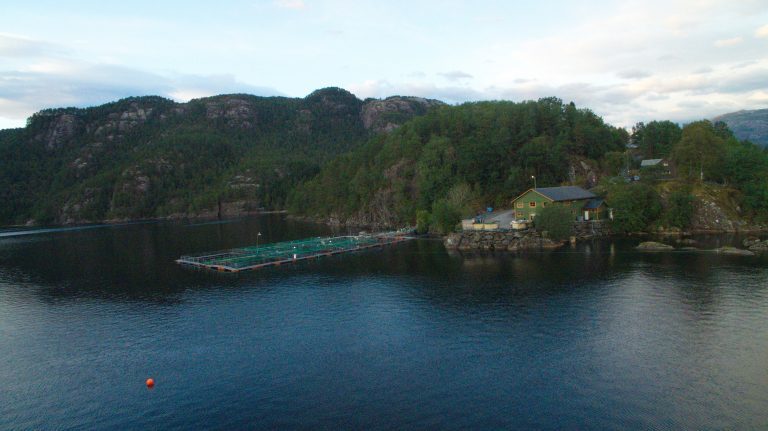 Driftsresultatet til Quatro Laks falt med 44 prosent