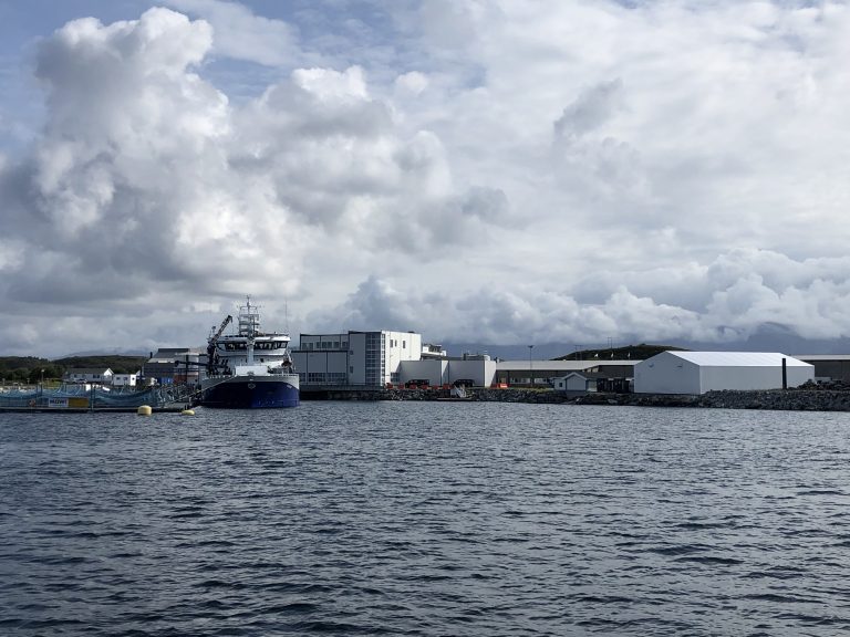 Høy prisoppnåelse og lave kostnader blåste opp Mowi-resultatet