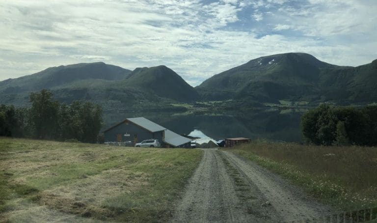 Skjerneset Fisk er Norges største produsent av rognkjeksrogn: – Vi må bygge ut enda mer. Markedet er enormt
