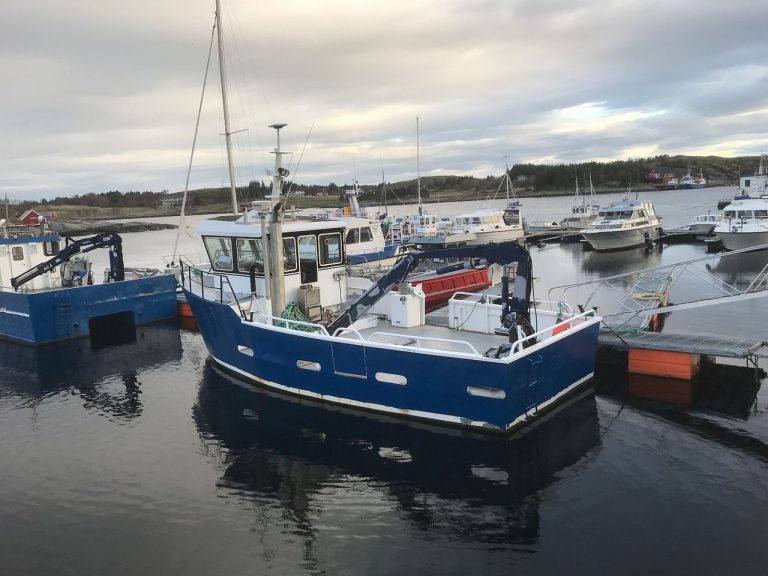 Båtbygger svinger seg opp på megling