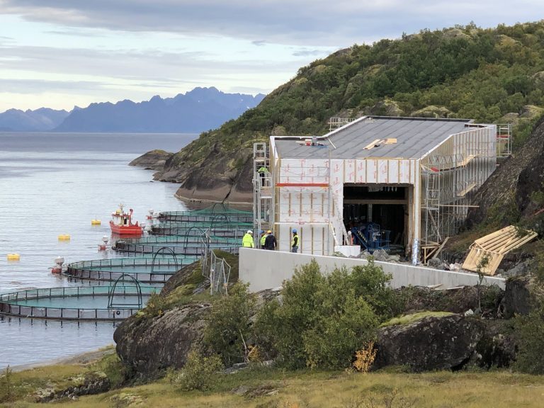 Her reiser Cermaqs nye visningssenter seg og det ligger nært merdene: – Man kan stå inne i anlegget og se på at laksen hopper