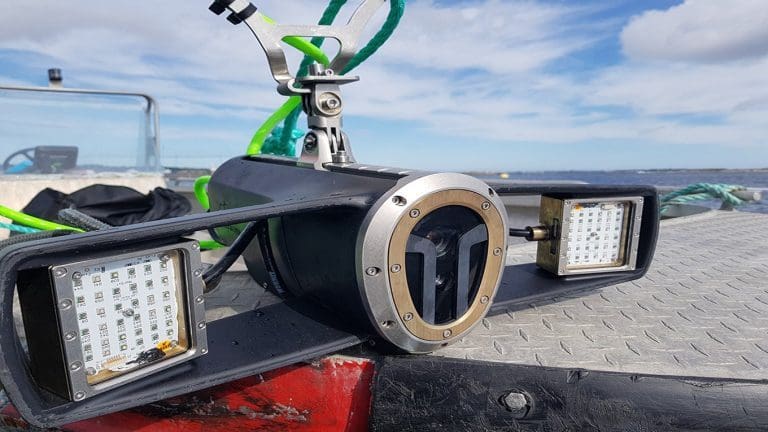 Har utviklet en automatisk luseteller: – Vi nærmer oss en kommersiell lansering