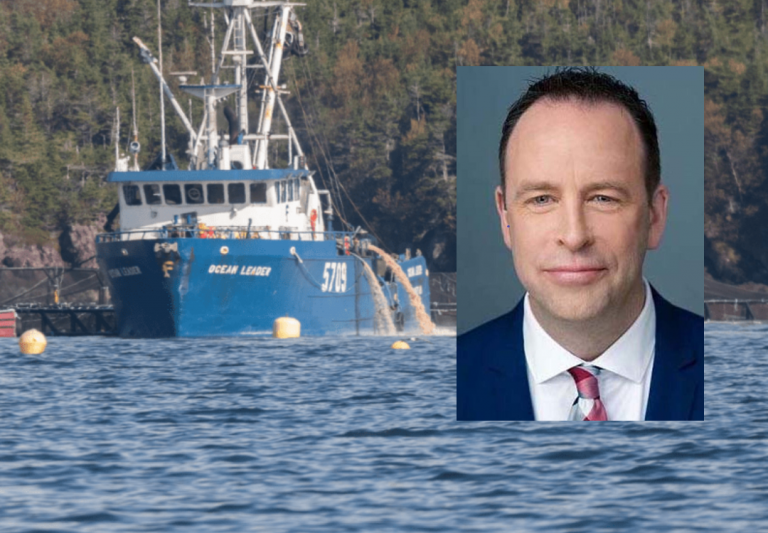 Mowis direktør i Øst-Canada innrømmer tap av 2,6 millioner fisk – ti konsesjoner suspenderes
