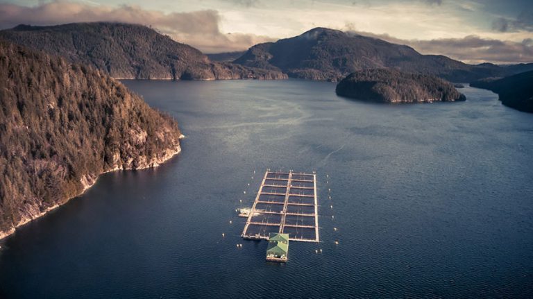 – Å investere i BC nå er utfordrende på grunn av usikkerheten rundt fremtidige rammebetingelser