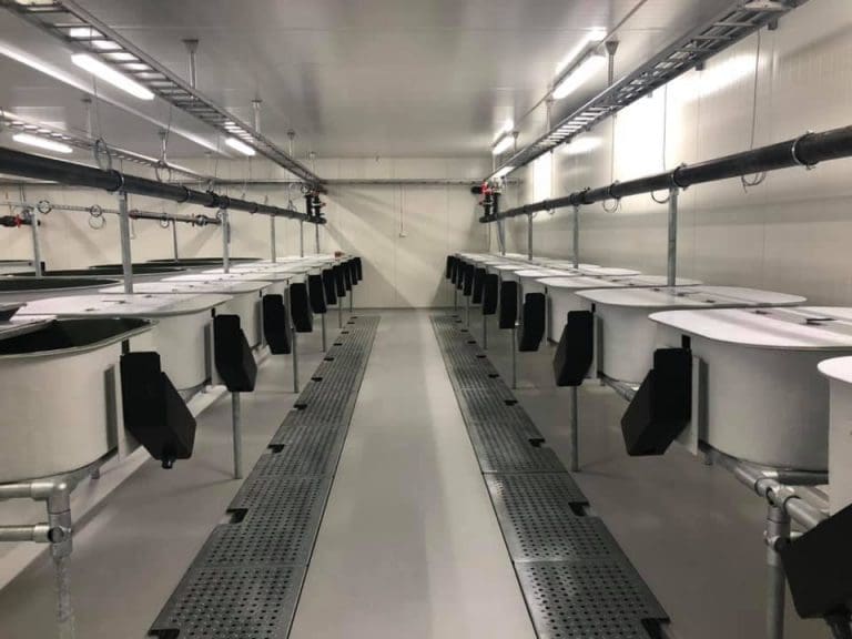 Hallingfisk åpnet nytt anlegg til 20 millioner kroner: – Bygd for 40 år fremover
