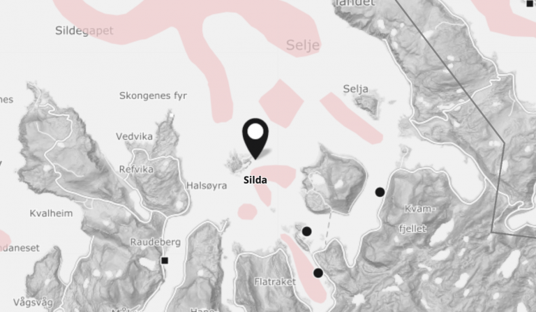 For rundt to uker siden satte Blom Fiskeoppdrett ut 400.000 smolt ved ny lokalitet. Nå er mesteparten død
