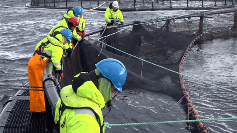 Trønderskoler starter lederutdanninger for havbruksnæringen