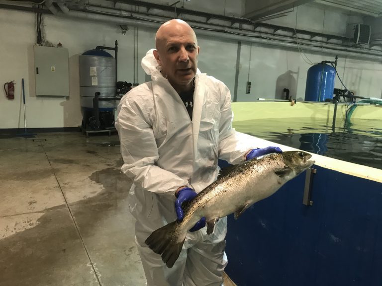 23 måneder fra egg til slakt: Denne laksen har vokst opp 30 mil fra havet