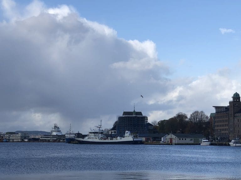 Bergen Seafood omsatte for 54,1 millioner kroner i oppstartsåret