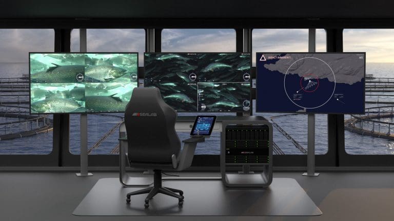 Derfor har Sealab investert i over tusen internettdomener