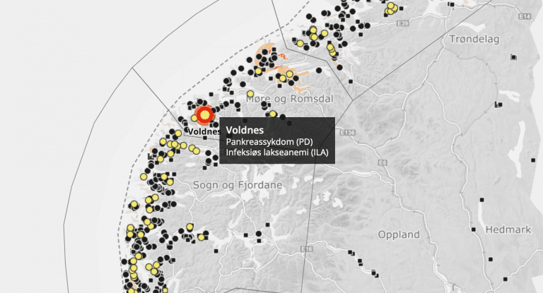 ILA påvist ved Mowi-anlegg