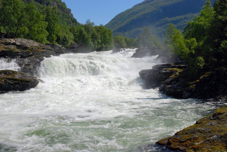 Villedende om villaks i Lærdalselva