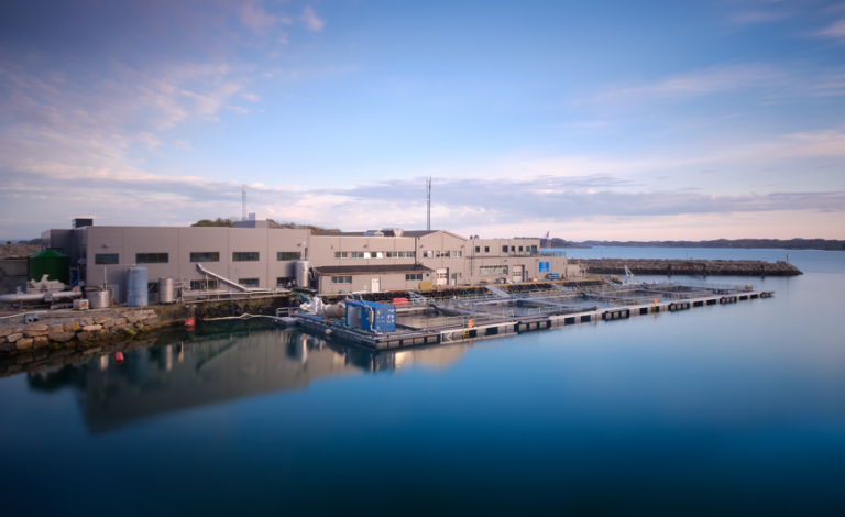 Firda Seafood fikk dispensasjon fra maks-krav til mengde fisk i sjøen: &laquo;Særlig tilfelle&raquo;