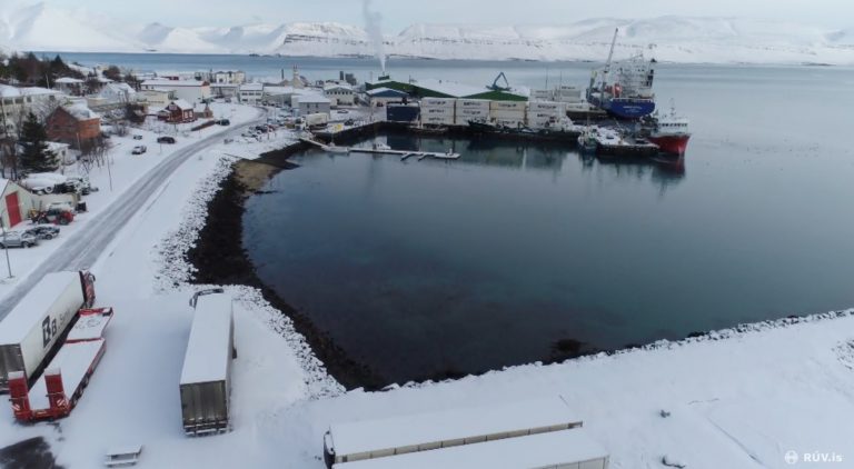 Arnarlax har tapt 570 tonn fisk: Styreleder tror laksedøden kunne vært unngått
