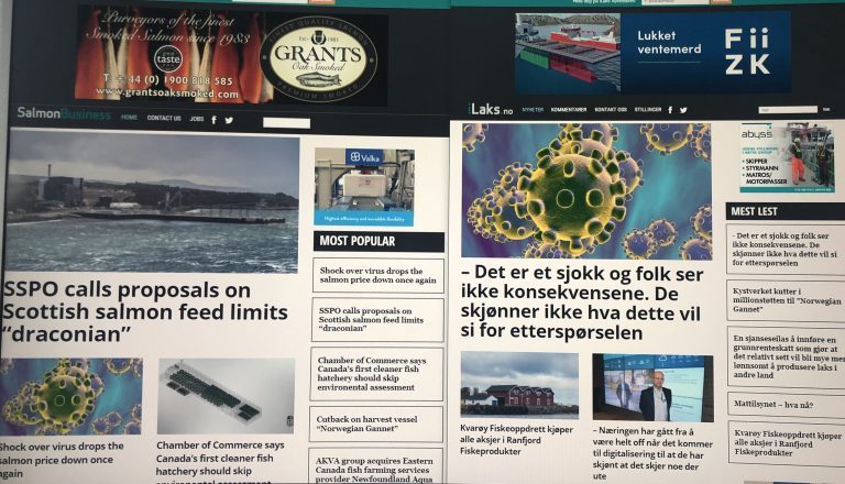 Brennhet start på 2020: Over 200.000 leste iLaks og SalmonBusiness i januar