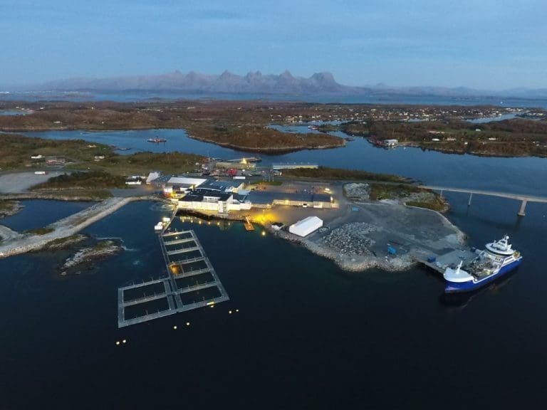 Mowi gjenopptar filetproduksjon på Herøy