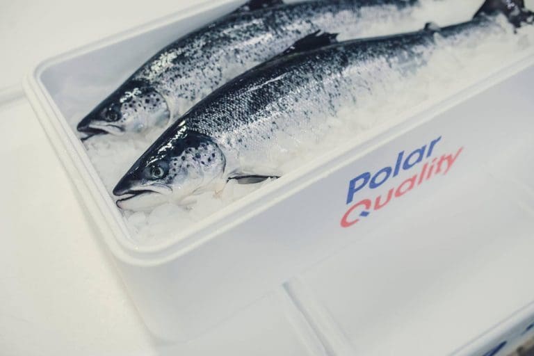 Tapsavsetninger og nedskrivninger rammet Polar Quality