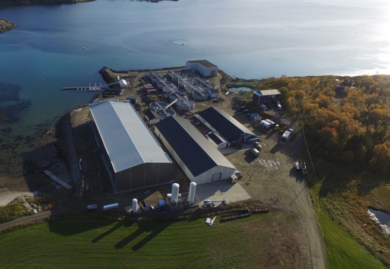 Omsetningsboost for Lødingen Fisk