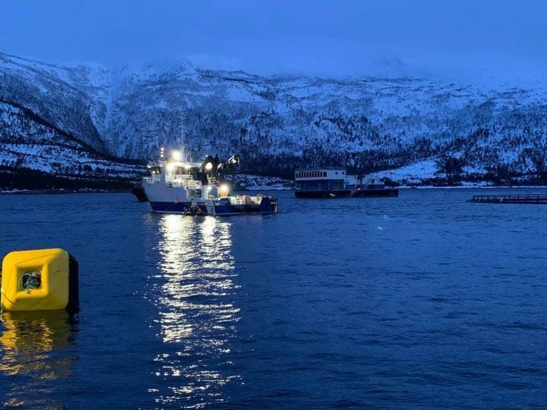 ILA-påvisning for GIFAS-anlegg i Gildeskål