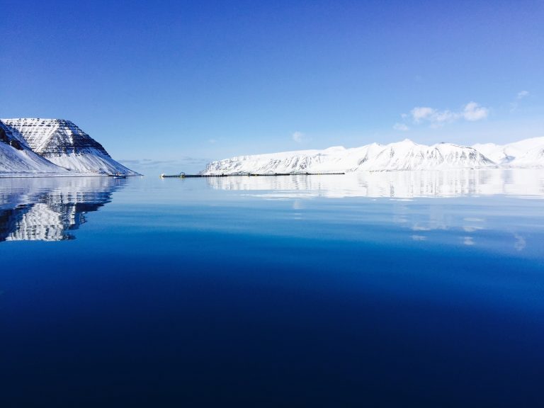 – Laksenæringen er ung på Island, og vil behøve kapital for å klare seg gjennom denne perioden hvis den varer mye lenger