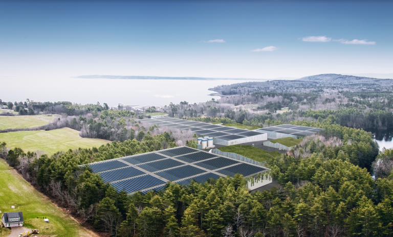 Nordic Aquafarms skroter oppdrettsplaner i Maine
