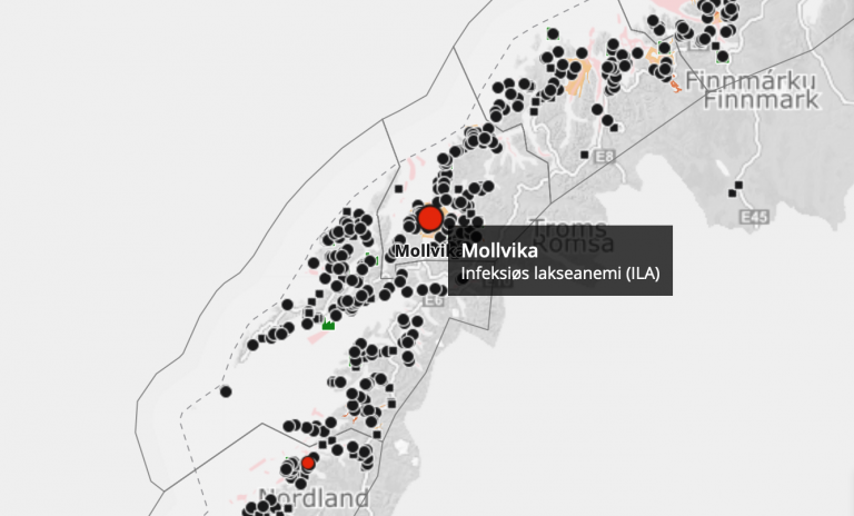 Oppdrettsanlegg i Harstad kommune er under utslakting etter mistanke om ILA