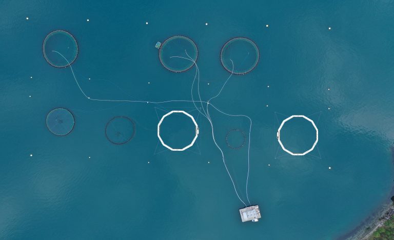 Fiskeridirektoratet om det som skjedde i Sognefjorden: – Ser på havariet som en alvorlig hendelse