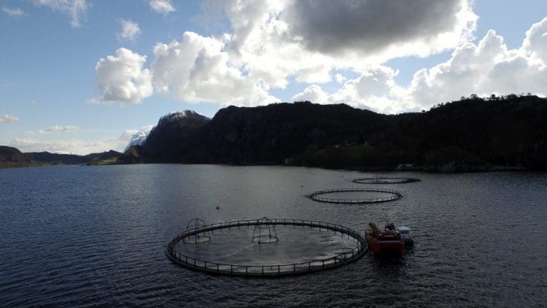 20 millioner kroner i utbytte til eierne av Flokenes Fiskefarm