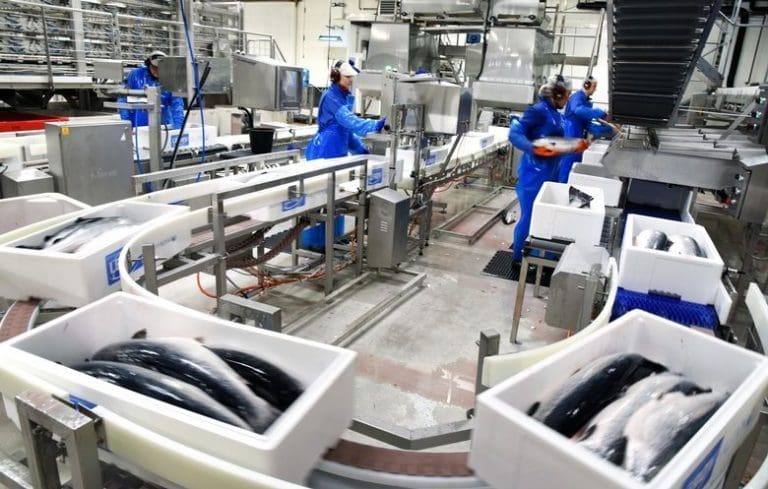 Snart en måned siden regjeringen innførte strenge koronatiltak: Slik har SinkabergHansen taklet krisen