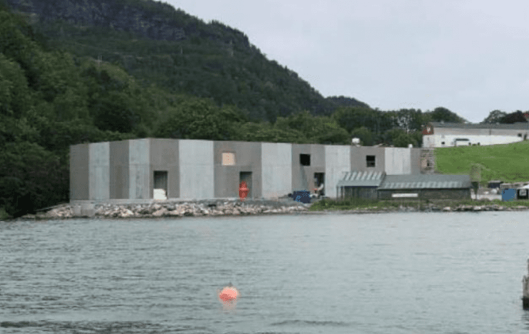 BioFish sikrer seg smoltkontrakt til 24 millioner kroner